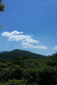 Scenic view of mountains against cloudy sky