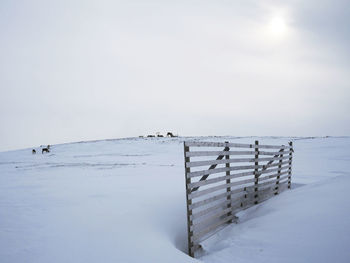 Wooden posts on frozen landscape against sky