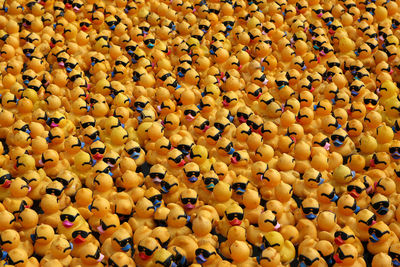 Plastic ducks