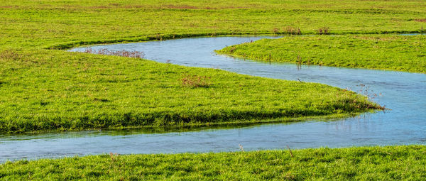 Scenic view of lake