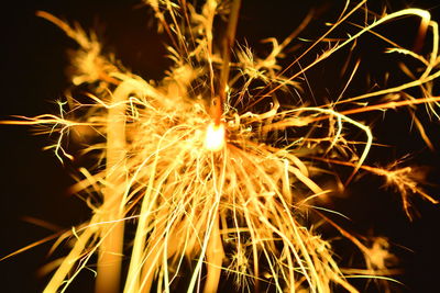 Close-up of fireworks at night