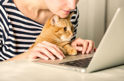 Midsection of woman with cat looking at laptop