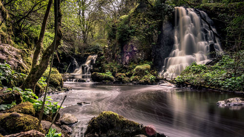 Waterfall in forest