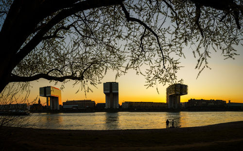 Silhouette tree by building against sky during sunset