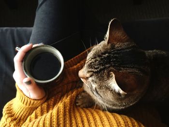 Midsection of woman having coffee while sitting with cat on sofa