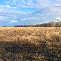 Scenic view of field against cloudy sky