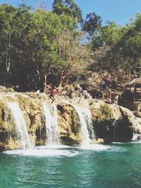 Scenic view of waterfall against trees