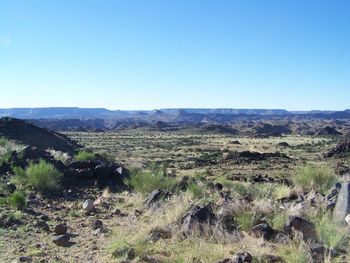 Scenic view of landscape against clear blue sky