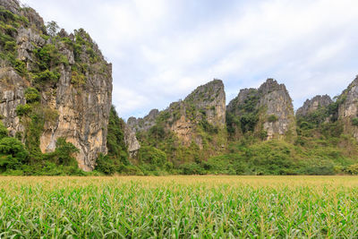 Scenic view of field against sky