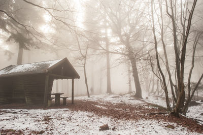 Trees by gazebo in forest during winter