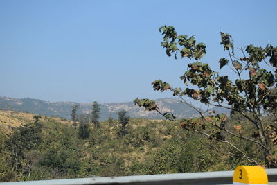 Scenic view of landscape against clear blue sky