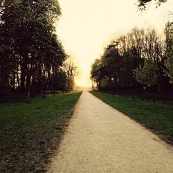 Empty road amidst trees against clear sky