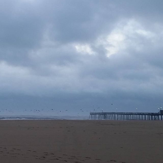 sea, beach, sky, water, horizon over water, cloud - sky, sand, shore, tranquility, tranquil scene, scenics, cloudy, beauty in nature, nature, bird, cloud, idyllic, incidental people, animal themes, overcast