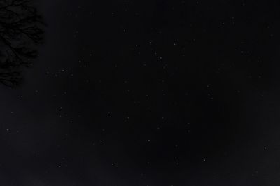 Low angle view of star field against star field