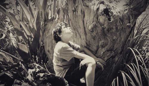 Boy looking up while sitting on tree