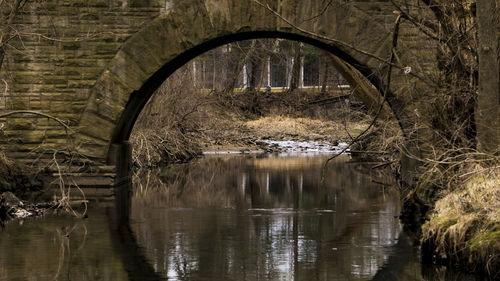 Reflection of trees in lake