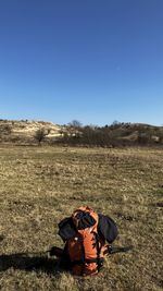 Rear view of woman standing on field against clear blue sky