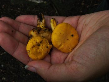 Close-up of hand holding fruit