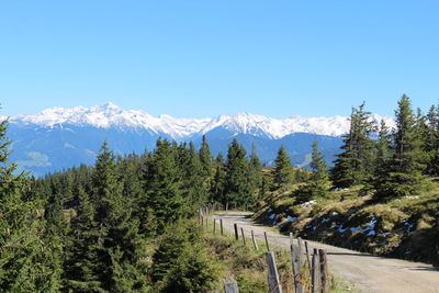 Scenic view of trees and mountains against clear blue sky