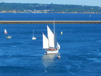 Sailboat sailing in sea