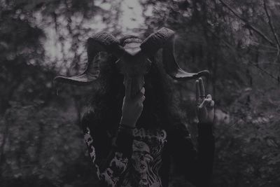 Close-up of built structure