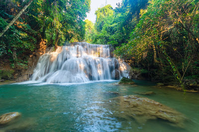 Scenic view of waterfall in forest