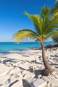 Scenic view of beach against clear blue sky