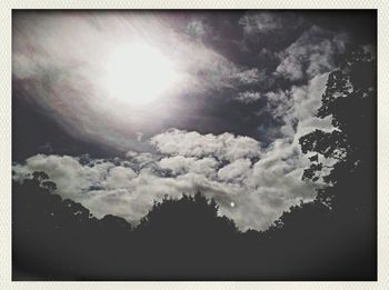 Low angle view of trees against sky