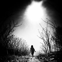 Silhouette of woman walking on field