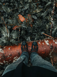 Low section of person standing on leaves during autumn