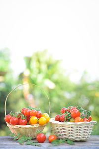 Close-up of tomatoes in basket on table