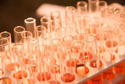 Close-up of test tubes in rack