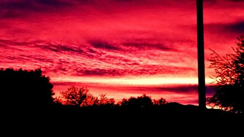 Silhouette of trees at sunset