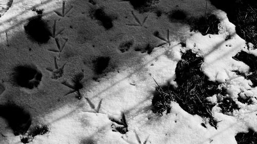 High angle view of snow covered field