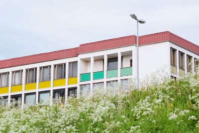 Plants growing against clear sky