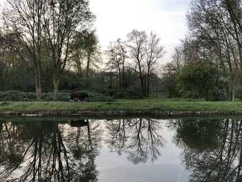 Reflection of trees in lake against sky