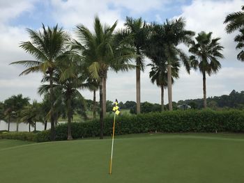 Palm trees against cloudy sky