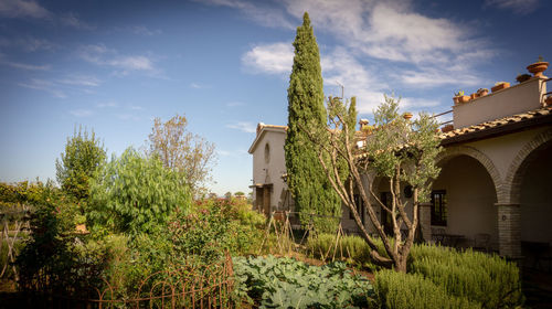 Low angle view of trees and building against sky
