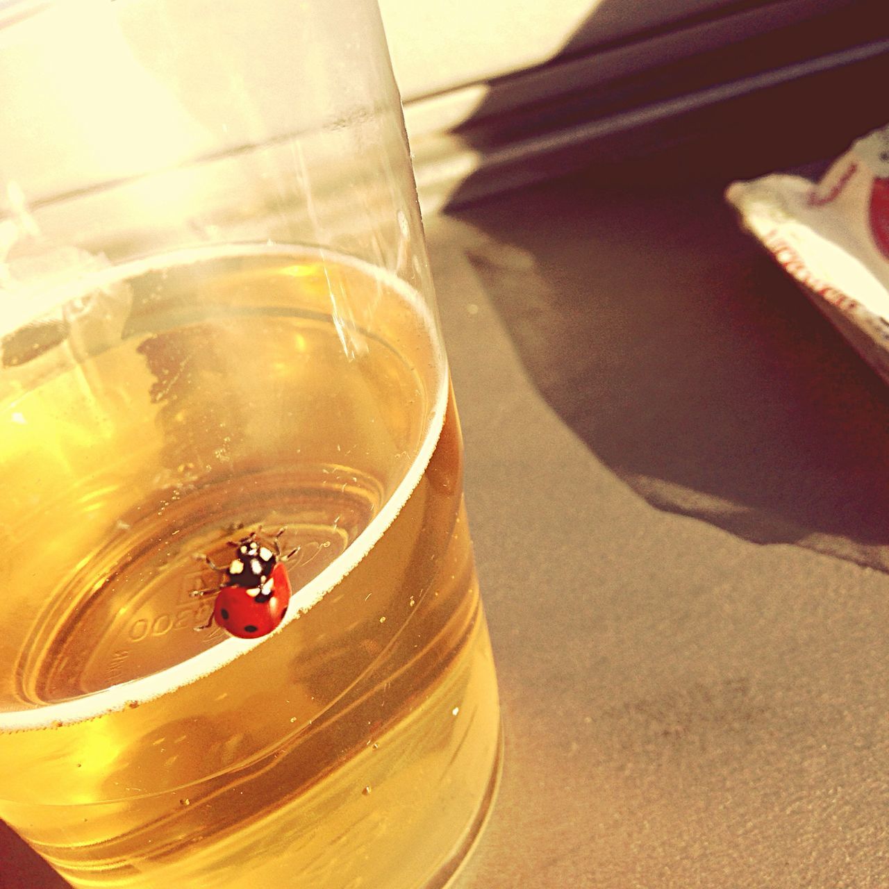 indoors, glass - material, drinking glass, food and drink, drink, transparent, still life, table, close-up, refreshment, freshness, high angle view, glass, no people, reflection, window, alcohol, sunlight, red, water