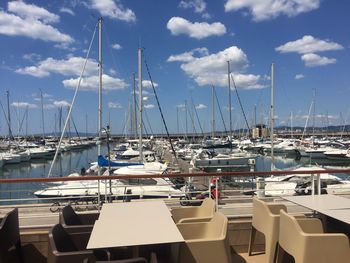 Sailboats moored at harbor