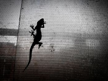 Silhouette man jumping on window