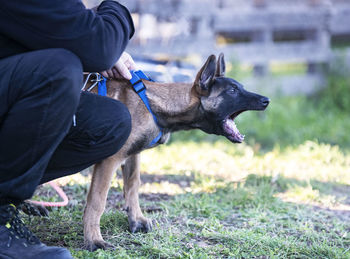 Midsection of man with dog on field