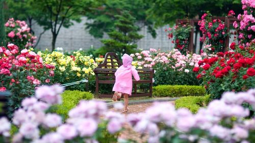 Rear view of woman with pink flowering plants