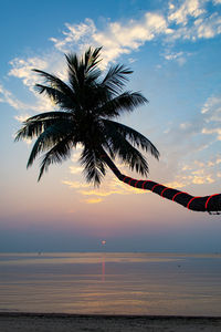 Silhouette palm tree by sea against sky during sunset