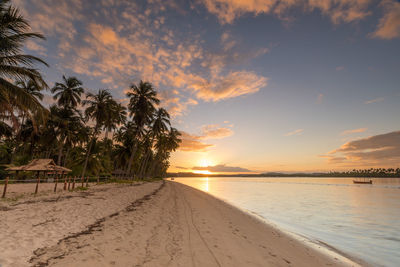 Scenic view of beach at sunset