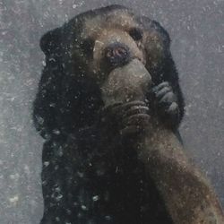 Reflection of woman in water