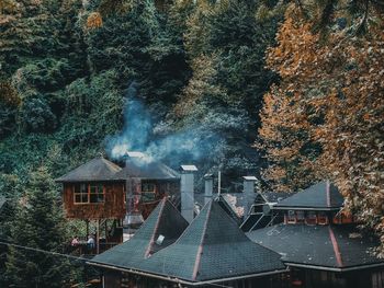 Smoke emitting from tree by house in forest