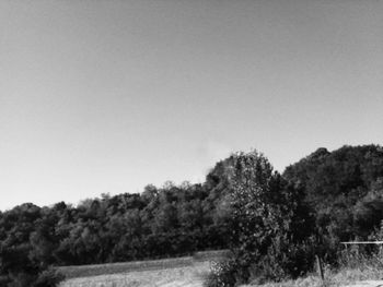 Trees on field against clear sky