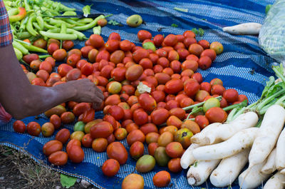 High angle view of hand selecting vegetables at market