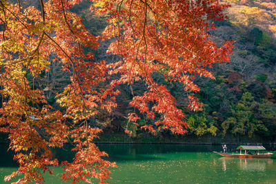 View of autumnal trees by lake during autumn